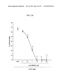 COMPOUNDS, COMPOSITIONS AND METHODS FOR PREVENTING NEURODEGENERATION IN ACUTE AND CHRONIC INJURIES IN THE CENTRAL NERVOUS SYSTEM diagram and image