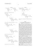 PROLYL HYDROXYLASE INHIBITORS AND METHODS OF USE diagram and image