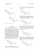 PROLYL HYDROXYLASE INHIBITORS AND METHODS OF USE diagram and image