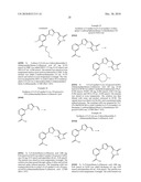 RHODANINES AND RELATED HETEROCYCLES AS KINASE INHIBITORS diagram and image