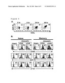 ZAP-70 AS PREDICTOR AND MODULATOR OF EFFECTOR FUNCTION OF T CELLS diagram and image