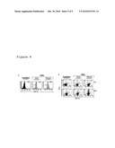 ZAP-70 AS PREDICTOR AND MODULATOR OF EFFECTOR FUNCTION OF T CELLS diagram and image