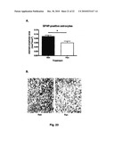 TREATMENT OF NEURAL DISEASES OR CONDITIONS diagram and image