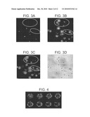 PROBES FOR ANIONIC CELL SURFACE DETECTION diagram and image