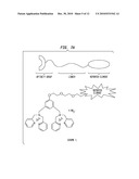 PROBES FOR ANIONIC CELL SURFACE DETECTION diagram and image