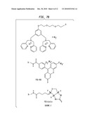 PROBES FOR ANIONIC CELL SURFACE DETECTION diagram and image