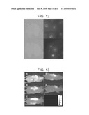 PROBES FOR ANIONIC CELL SURFACE DETECTION diagram and image