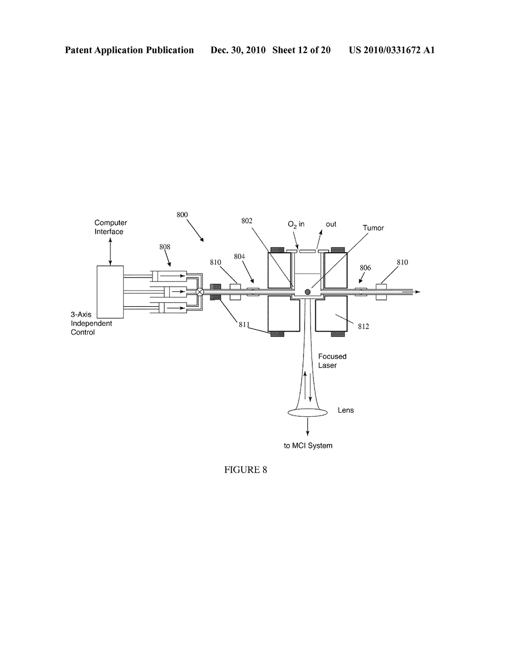 METHOD AND APPARATUS FOR MOTILITY CONTRAST IMAGING - diagram, schematic, and image 13