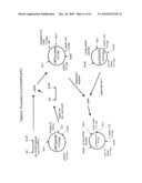 TRANSGENIC PROTEINS FROM MULTI-GENE SYSTEMS, METHODS, COMPOSITIONS, USES AND THE LIKE RELATING THERETO diagram and image