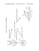 TRANSGENIC PROTEINS FROM MULTI-GENE SYSTEMS, METHODS, COMPOSITIONS, USES AND THE LIKE RELATING THERETO diagram and image