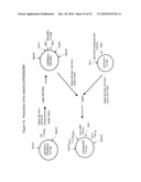 TRANSGENIC PROTEINS FROM MULTI-GENE SYSTEMS, METHODS, COMPOSITIONS, USES AND THE LIKE RELATING THERETO diagram and image