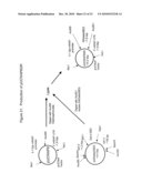 TRANSGENIC PROTEINS FROM MULTI-GENE SYSTEMS, METHODS, COMPOSITIONS, USES AND THE LIKE RELATING THERETO diagram and image