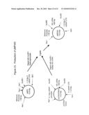 TRANSGENIC PROTEINS FROM MULTI-GENE SYSTEMS, METHODS, COMPOSITIONS, USES AND THE LIKE RELATING THERETO diagram and image