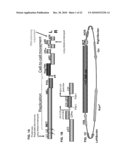 CLOSTEROVIRUS VECTORS AND METHODS diagram and image