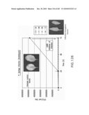 Cottonwood Growth eIF-5A diagram and image