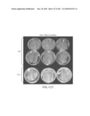 Cottonwood Growth eIF-5A diagram and image