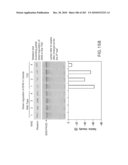 Cottonwood Growth eIF-5A diagram and image