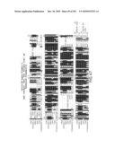 Cottonwood Growth eIF-5A diagram and image