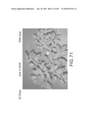 Cottonwood Growth eIF-5A diagram and image