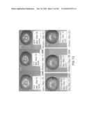 Cottonwood Growth eIF-5A diagram and image