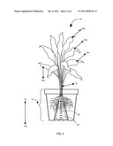 Plant container diagram and image