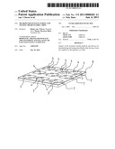 Method for Manufacturing and Testing Micro Fluidic Chips diagram and image