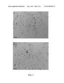 METHOD FOR PRODUCING COMPLEX OF METALLIC NANOPARTICLE AND INORGANIC CLAY AND ETHANOLAMINE PROMOTER diagram and image