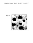 ADHESIVE COMPOSITION, BONDING MEMBER USING THE ADHESIVE COMPOSITION, SUPPORT MEMBER FOR SEMICONDUCTOR MOUNTING, SEMICONDUCTOR DEVICE, AND PROCESSES FOR PRODUCING THESE diagram and image