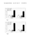 Magnetic Article and Method for Producing a Magnetic Article diagram and image