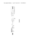 Wavefront Sensor diagram and image