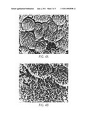 METHOD FOR PREPARING SINGLE WALLED CARBON NANOTUBES FROM A METAL LAYER diagram and image