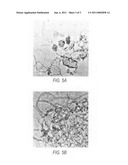 METHOD FOR PREPARING SINGLE WALLED CARBON NANOTUBES FROM A METAL LAYER diagram and image