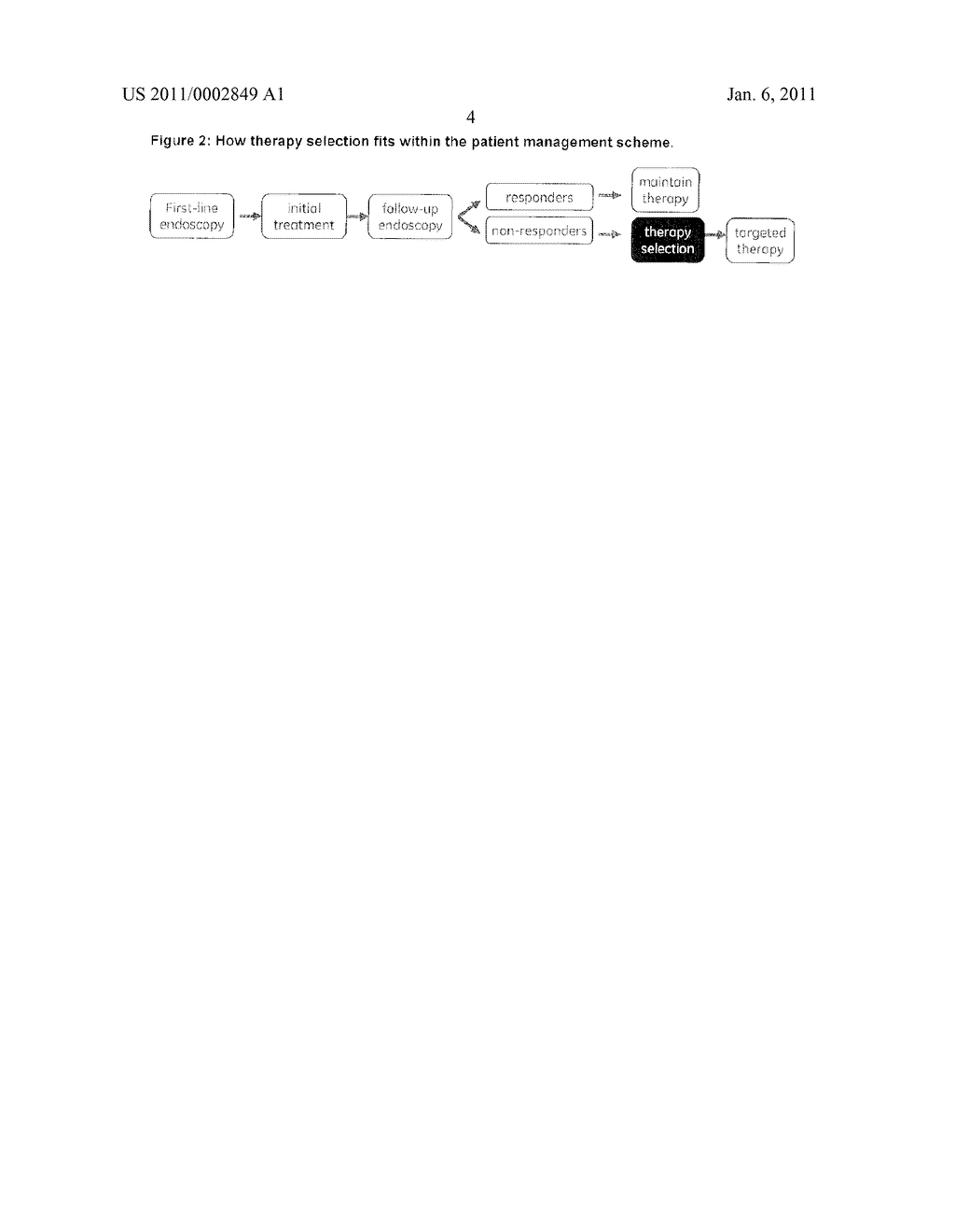 THERAPY SELECTION METHOD - diagram, schematic, and image 05