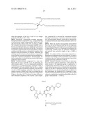 Multimeric VLA-4 Antagonists Comprising Polymer Moieties diagram and image