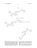 Multimeric VLA-4 Antagonists Comprising Polymer Moieties diagram and image