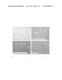 COMPOSITION FOR AUTOTRANSPLANTATION OR ALLOTRANSPLANTATION USING DENTAL PULP STEM CELL, AND USE OF THE COMPOSITION diagram and image