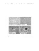 COMPOSITION FOR AUTOTRANSPLANTATION OR ALLOTRANSPLANTATION USING DENTAL PULP STEM CELL, AND USE OF THE COMPOSITION diagram and image