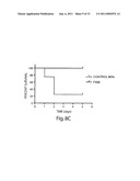 POLY-N-ACETYL GLUCOSAMINE (PNAG/dPNAG)-BINDING PEPTIDES AND METHODS OF USE THEREOF diagram and image