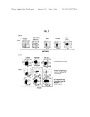 HEMATOPOIETIC CELLS EXPRESSING THE PROTEIN KRTCAP3 AND LIGANDS FOR THE PROTEIN KRTCAP3 diagram and image