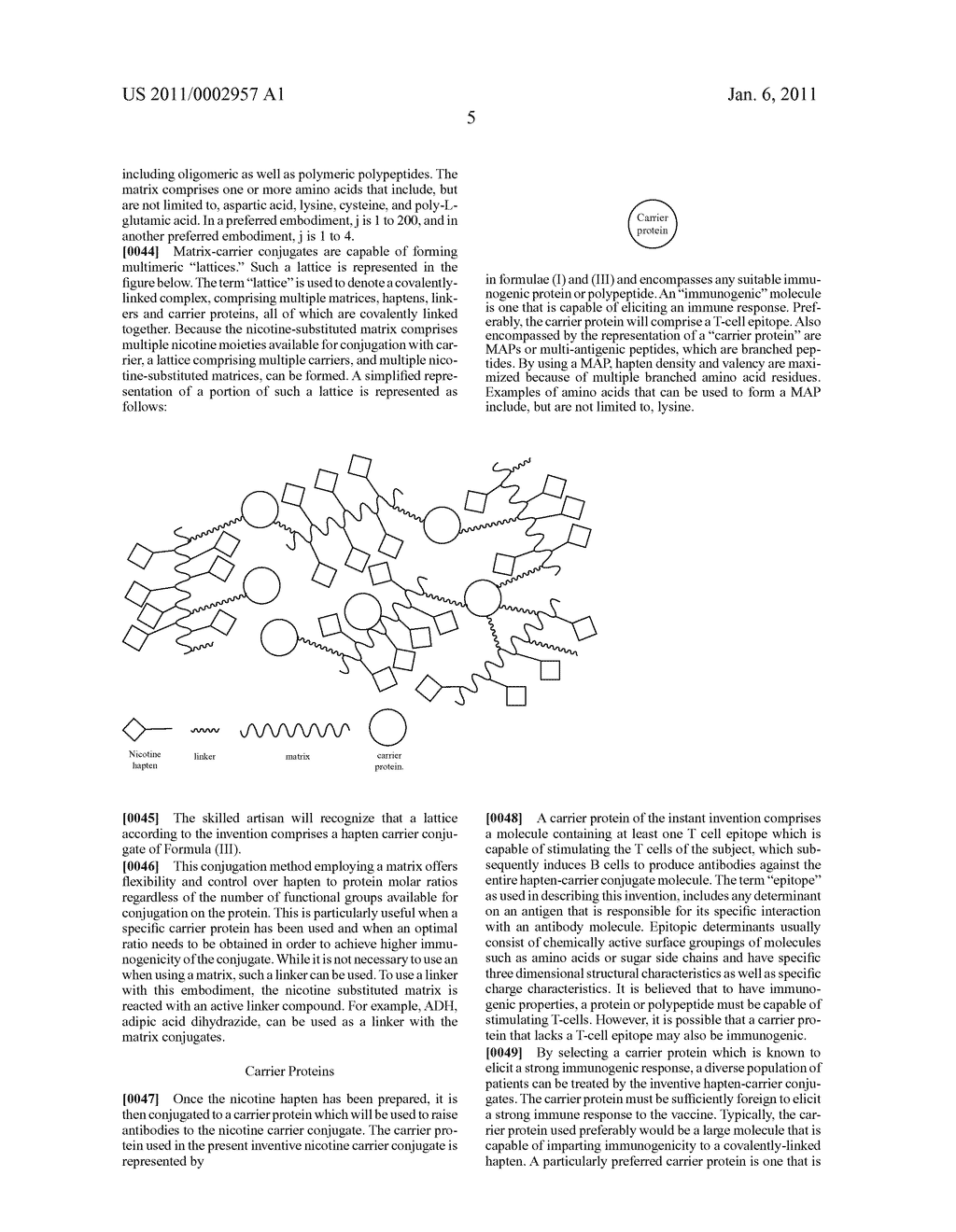 HAPTEN-CARRIER CONJUGATES FOR TREATING AND PREVENTING NICOTINE ADDICTION - diagram, schematic, and image 13