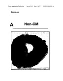 MESENCHYMAL STEM CELL PARTICLES diagram and image