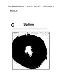 MESENCHYMAL STEM CELL PARTICLES diagram and image