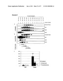 MESENCHYMAL STEM CELL PARTICLES diagram and image