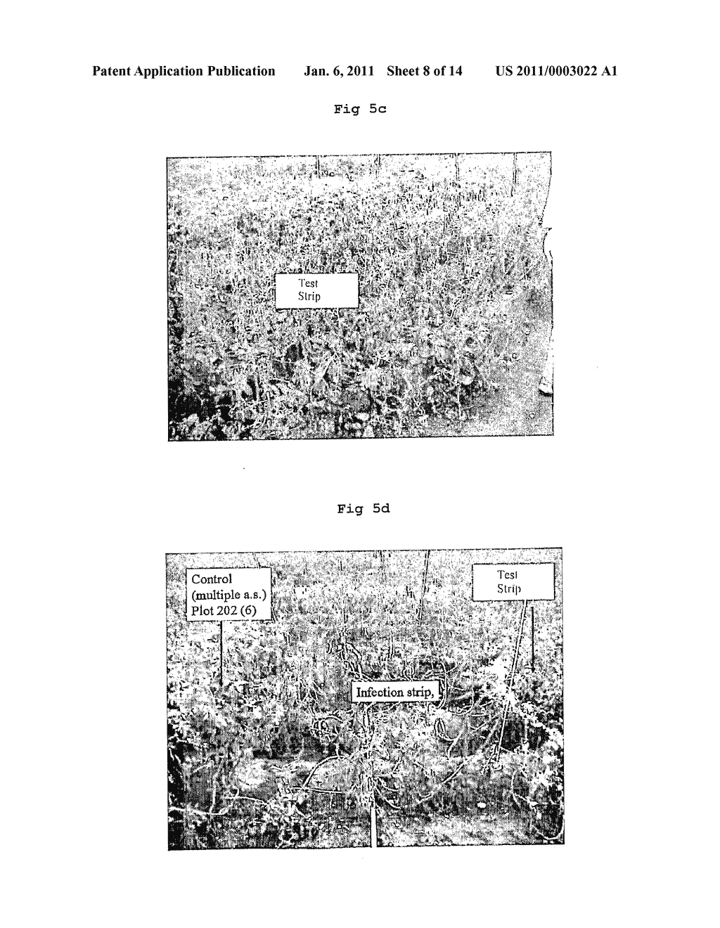 Composition and Method - diagram, schematic, and image 09