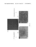 Fabrication method of nanomaterials by using polymeric nanoporous templates diagram and image