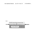 Method for making functional ceramic films on ceramic materials diagram and image