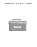 Method for making functional ceramic films on ceramic materials diagram and image