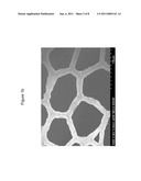 MICROSTRUCTURED MATERIAL AND PROCESS FOR ITS MANUFACTURE diagram and image