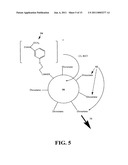 Dioxetane-Nanoparticle Assemblies For Energy Transfer Detection Systems, Methods Of Making The Assemblies, And Methods Of Using The Assemblies in Bioassays diagram and image