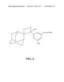 Dioxetane-Nanoparticle Assemblies For Energy Transfer Detection Systems, Methods Of Making The Assemblies, And Methods Of Using The Assemblies in Bioassays diagram and image